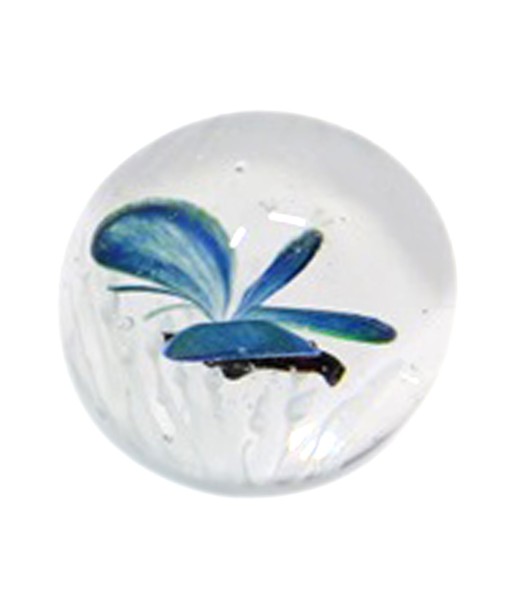 Pisapapel mariposa decorativo cristal azul regalo oficina hogar
