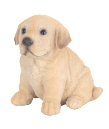 Figura de Perro Bohemio para Decoración del Hogar y Regalo Original