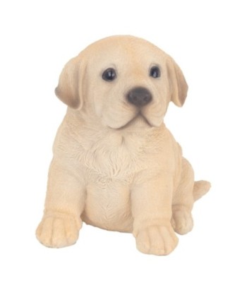 Figura de Perro Bohemio para Decoración del Hogar y Regalo Original