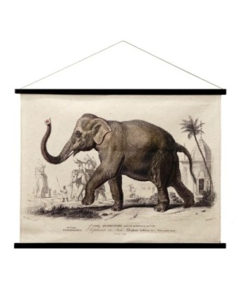 ORIGEN Home Decor Lienzo Enrollable Elefante Cuadros Crudo Rectangular 75x100x2cm