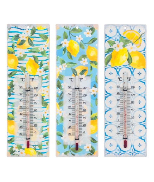 Termómetro de Limón 3 Unidades - Termómetro Decorativo para Cocina, Ideal para Bebidas y Postres, Regalo Original