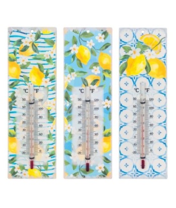 Termómetro de Limón 3 Unidades - Termómetro Decorativo para Cocina, Ideal para Bebidas y Postres, Regalo Original