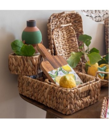 Pack de 3 cestas de jacinto de agua natural para decoración