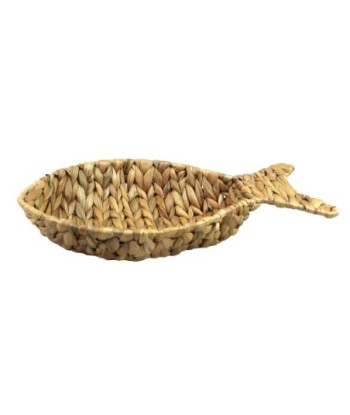 Bandeja Pez de Jacinto de Agua Natural para Decoración del Hogar