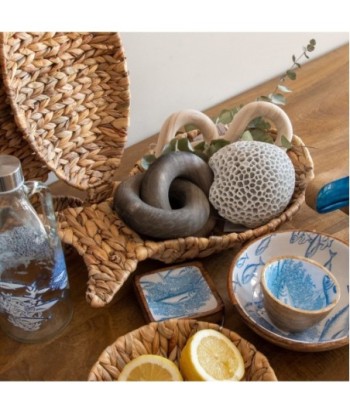 Bandeja Pez de Jacinto de Agua Natural para Decoración del Hogar