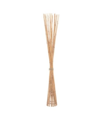 Rama Decorativa de Bambu - Elemento Natural para Decoración del Hogar
