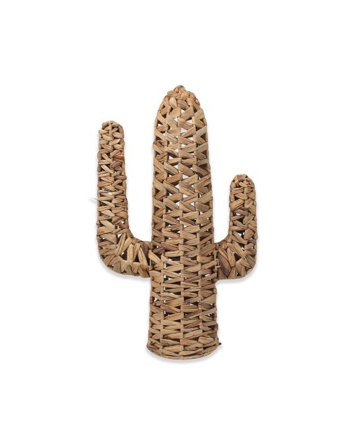 ORIGEN Home Decor Cactus Decoracion Varios Figura Marrón - 55x34x16cm