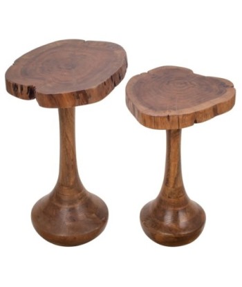 Conjunto de 2 mesitas auxiliares de madera de acacia