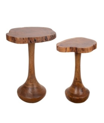 Conjunto de 2 mesitas auxiliares de madera de acacia