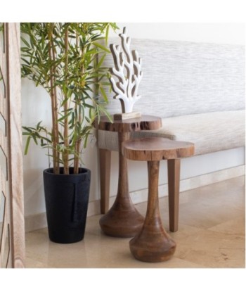 Conjunto de 2 mesitas auxiliares de madera de acacia
