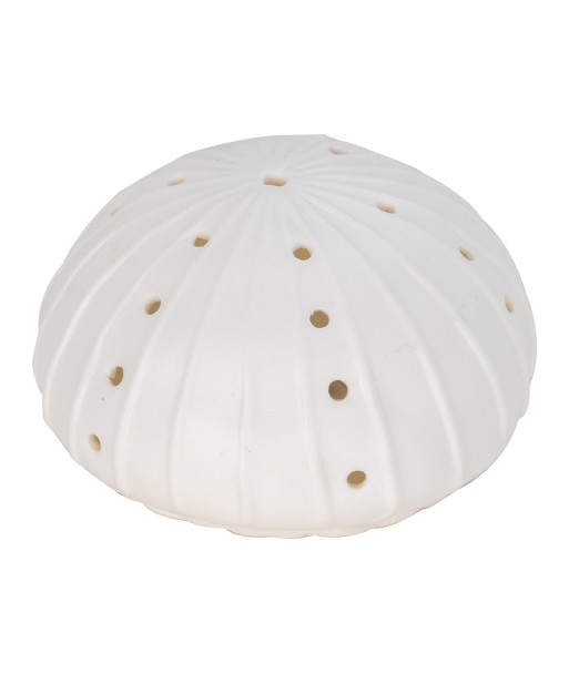 ORIGEN Home Decor Led Anemona Lamparas | Figura Marinera Blanco Ovalado - 7x12x12cm