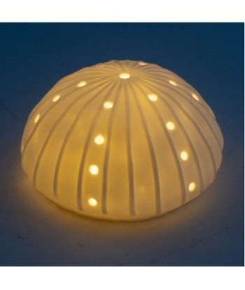 ORIGEN Home Decor Led Anemona Lamparas | Figura Marinera Blanco Ovalado - 7x12x12cm