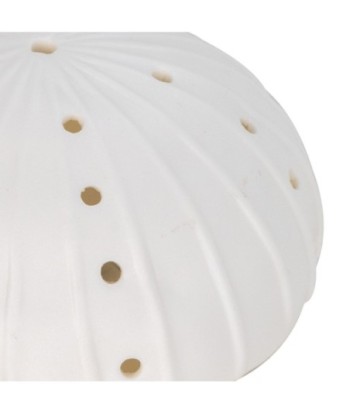 ORIGEN Home Decor Led Anemona Lamparas | Figura Marinera Blanco Ovalado - 7x12x12cm